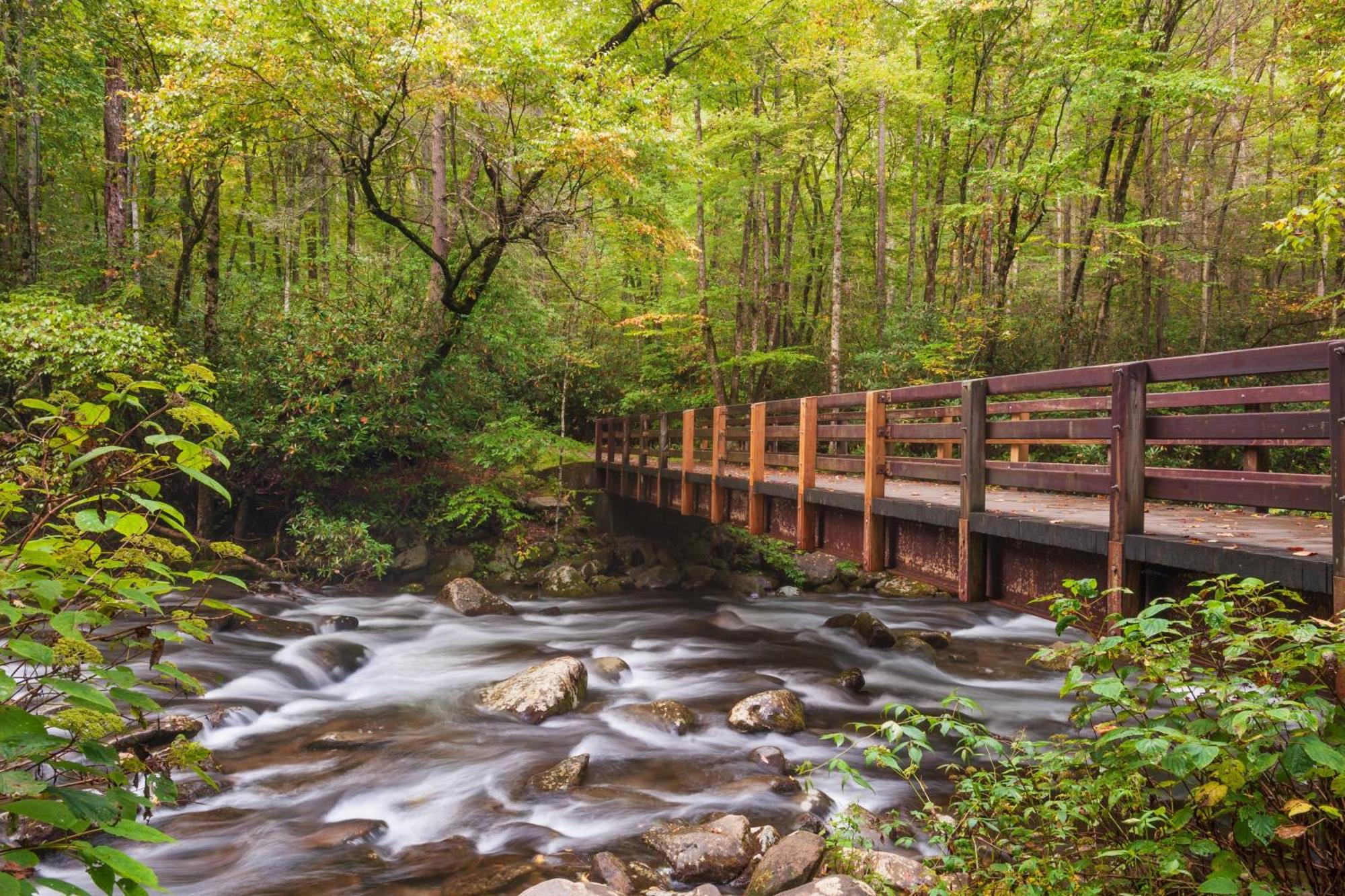 Rest Assured, Wifi, 1089 Free Tickets Each Paid Day, Dollywood And More Пиджен-Фордж Экстерьер фото